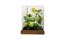 กล่องโมเดลโชว์สินค้า-กล่องใส่ของสะสม-ฐานไม้สักเเท้